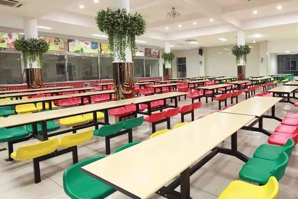 寿光小学采购食品安全硬汉视频在线观看手机版仪